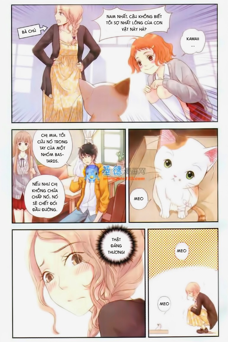 bạc hà chi hạ chapter 2 11