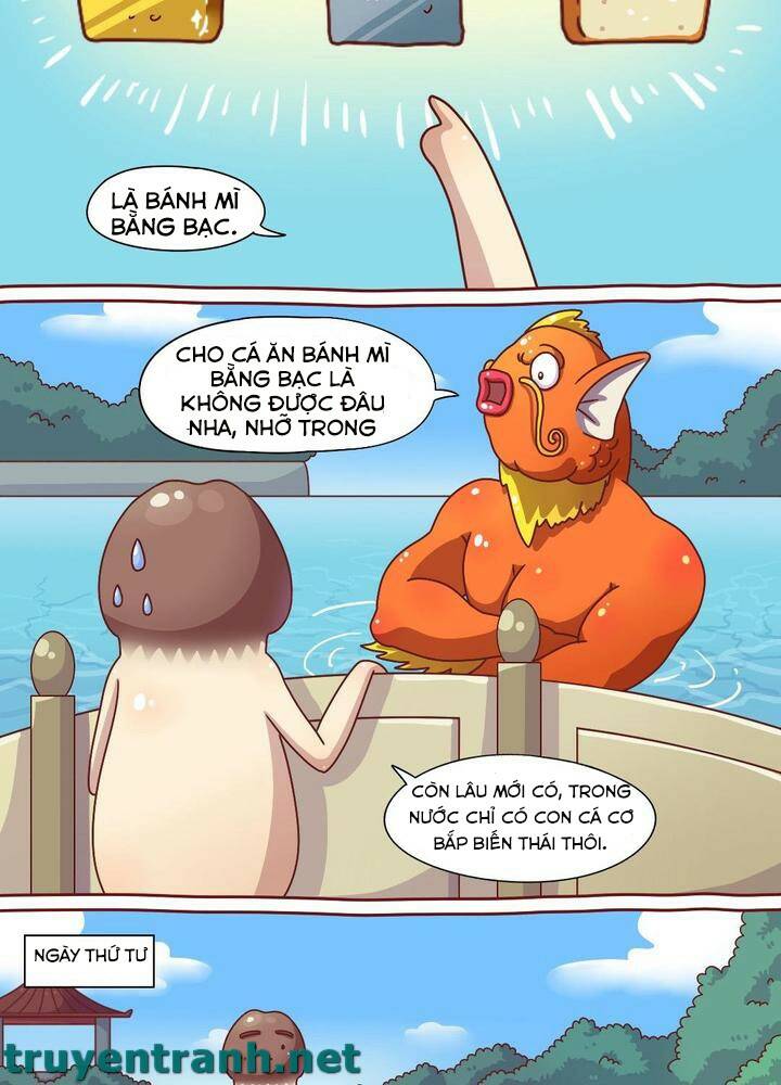 cây nấm kì khả chapter 11 12