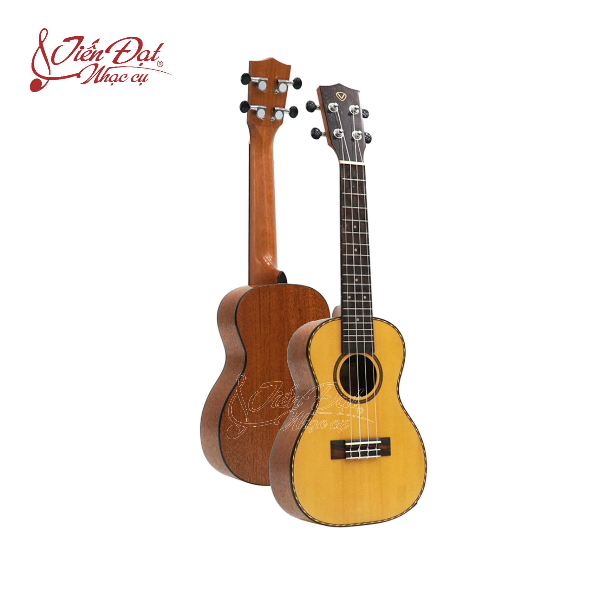 Đàn Ukulele Valote Dòng Concert VA 24M01, 24M02, 24R01 Cao Cấp Tông Nhạc Dày Âm Thanh Trong Trẻo