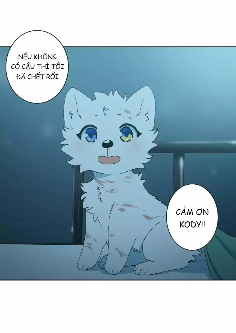 lumine - cội nguồn ánh sáng chapter 33 14