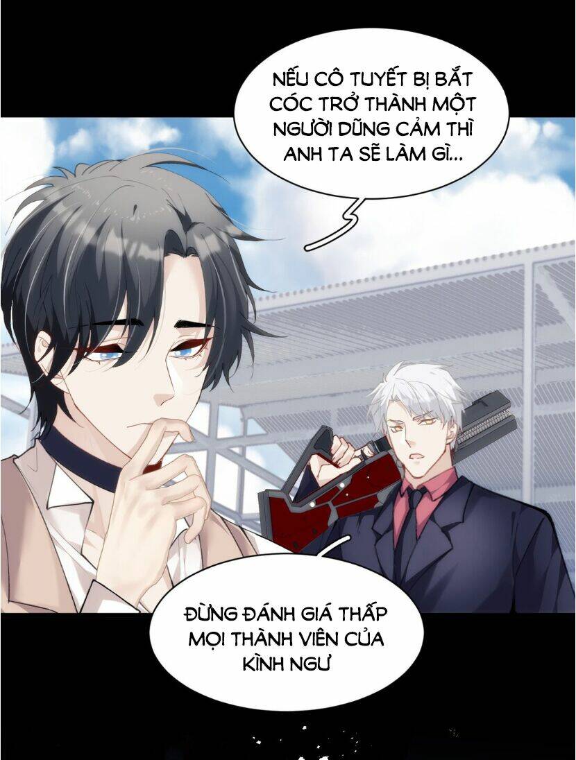 dù là sói cô độc cũng có tình yêu của sẻ nhỏ chapter 24 15