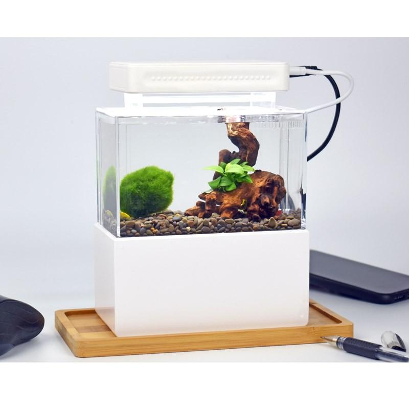 Bể cá mini để bàn - Hồ thủy sinh Nano - shopleo