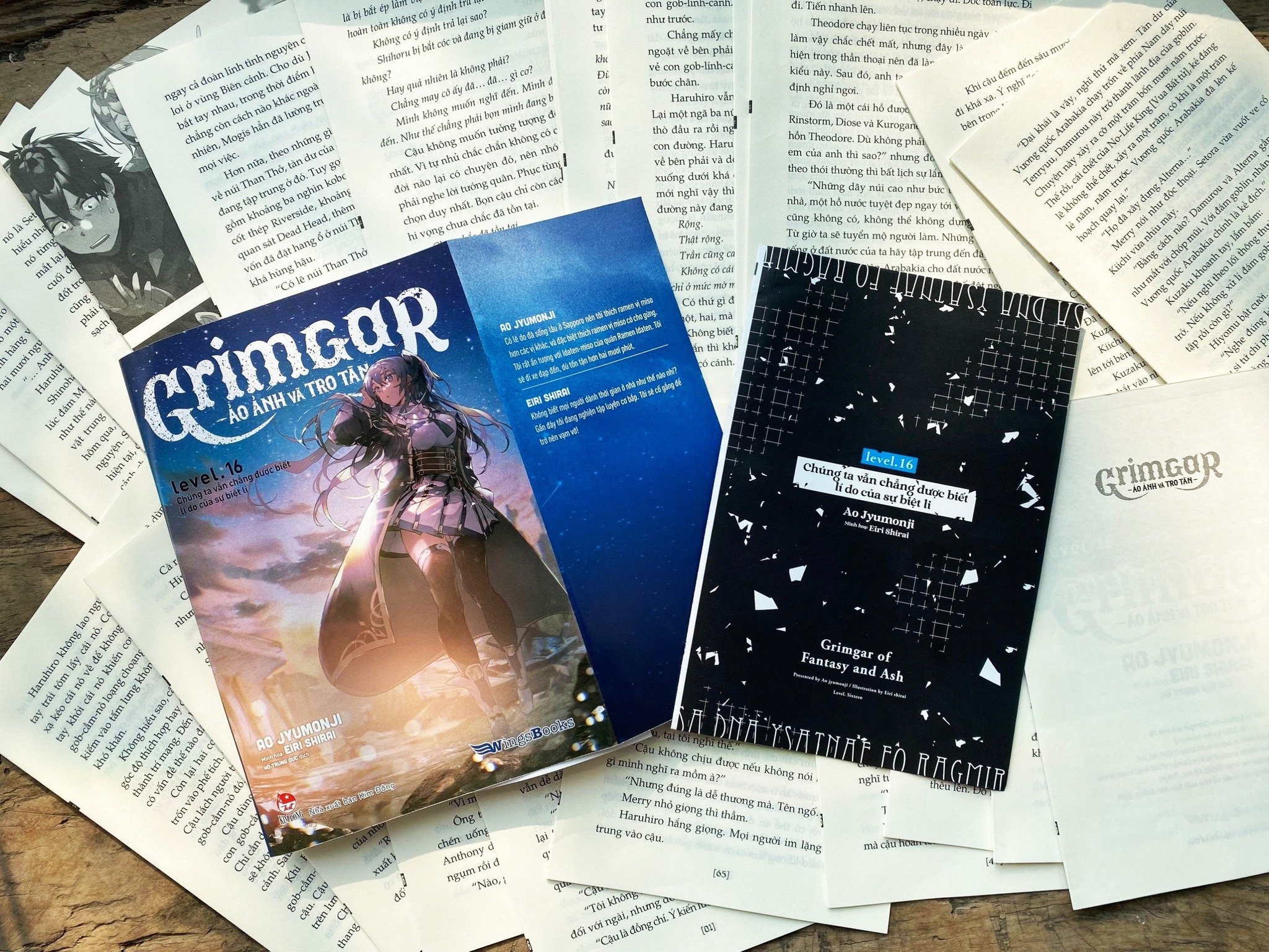 Truyện Grimgar - Ảo Ảnh Và Tro Tàn (Chang Book)