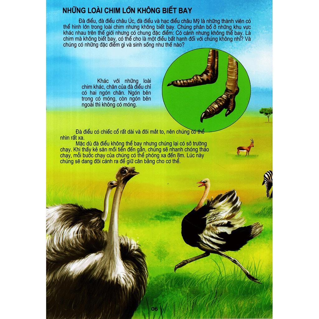 Thế Giới Động Vật Kì Thú - Thế Giới Loài Chim