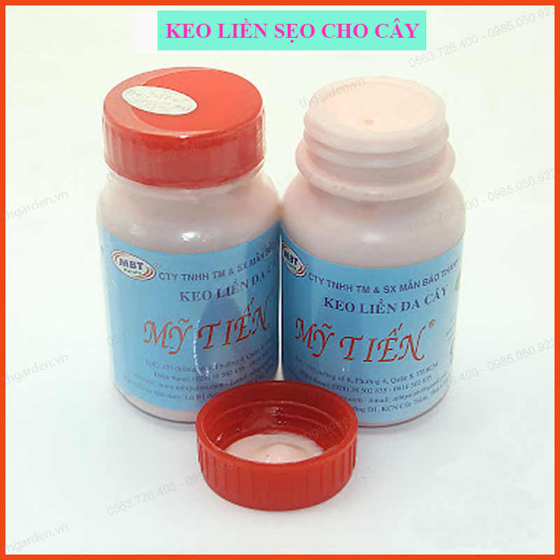 Keo Liền Da Cây Mỹ Tiến 100g- Thuốc Hỗ Trợ Chiết Cành - Keo liền sẹo