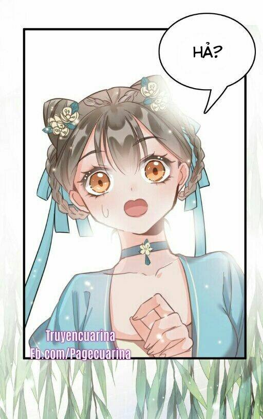 ứng hữu trường phong ỷ bích liên chapter 1.1 18