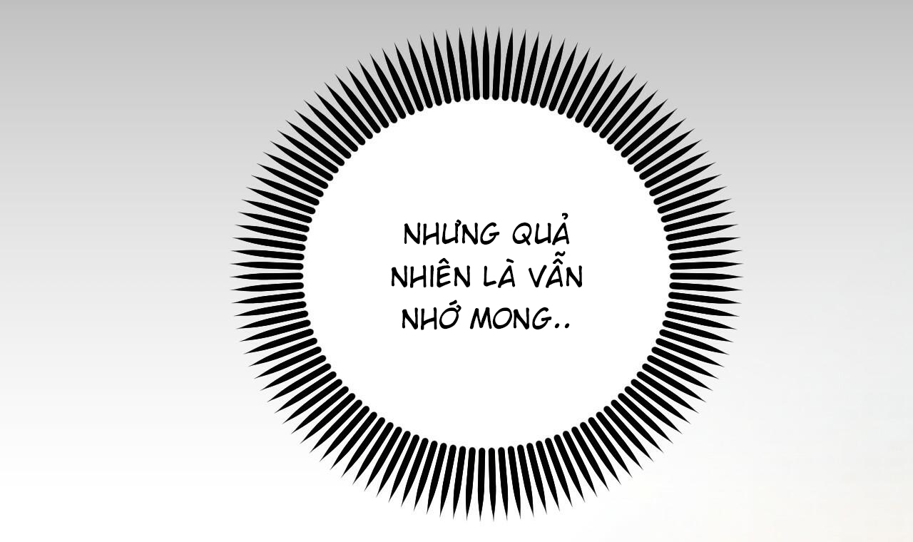 đàn thỏ của habibi chapter 55 170