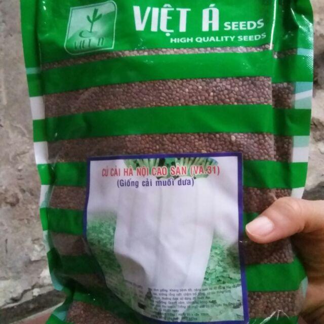 Cải củ hà nội 1kg