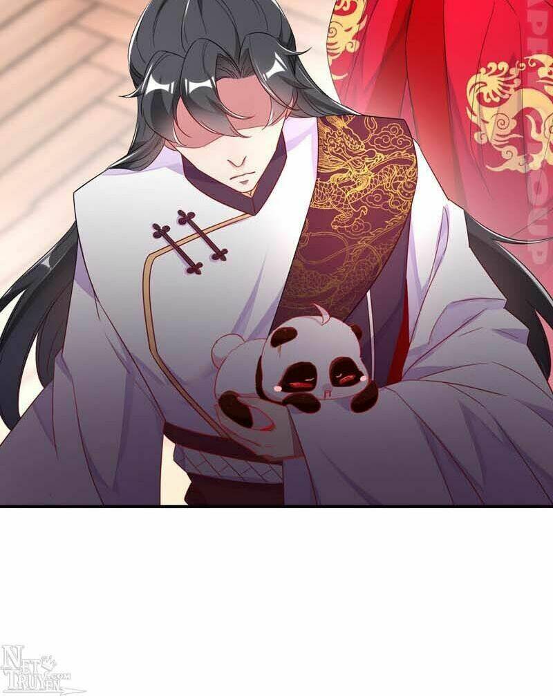 thiên thần gấu trúc muốn được ôm chapter 52 11