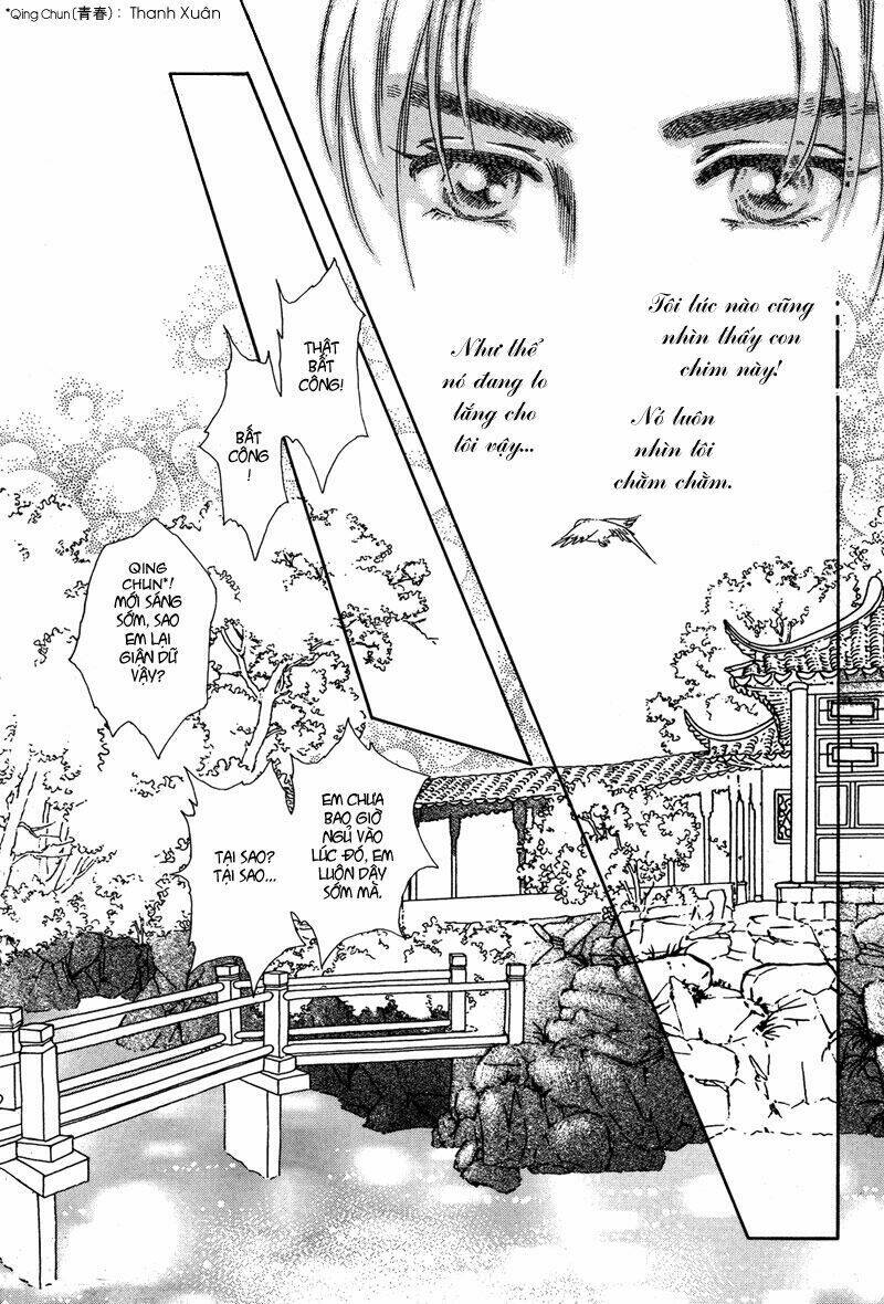 bird of youth chapter 1 5