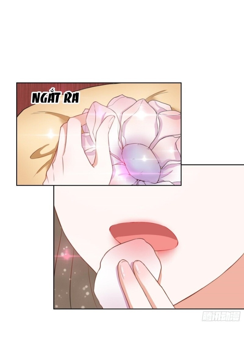 công lược trưởng thành của vương phi chapter 6 8