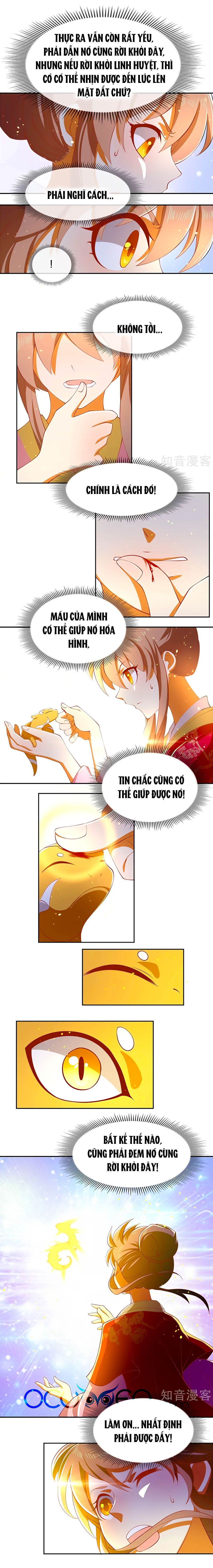 Khuynh Thành Cuồng Phi Của Tà Vương chapter 125 - Trang 5