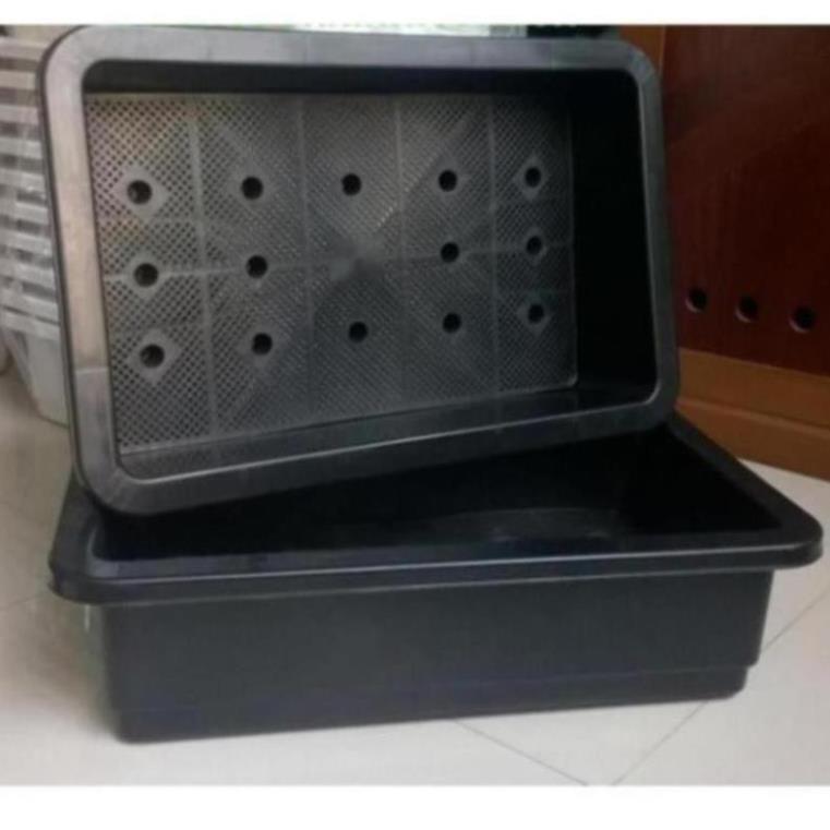 Combo 2 chậu đen chữ nhật to sâu trồng rau KT 68x42
