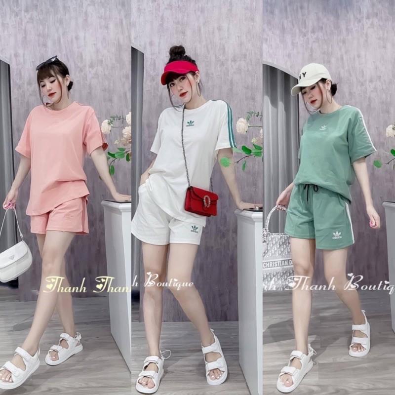 BỘ COTTON 3 LÁ CỘC VIỀN SỌC BẢNG 3 MÀU CHO NỮ