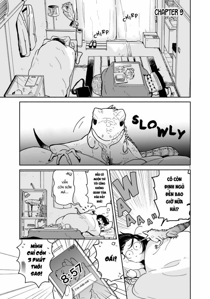 majo-senpai nichijou chapter 9 1