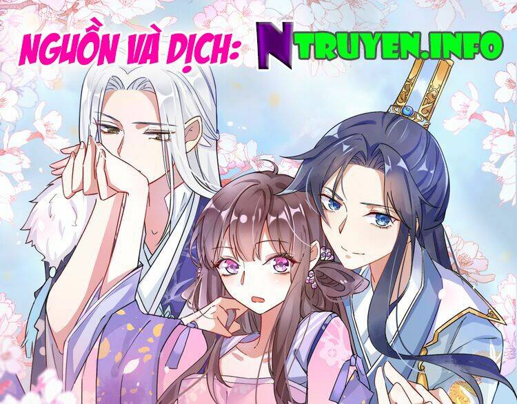 hoa nhan sách chapter 5.1 1