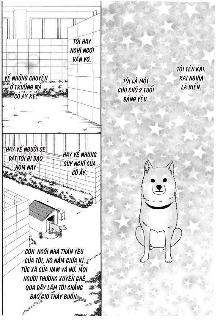 tổng hợp one shot. chapter 142 9