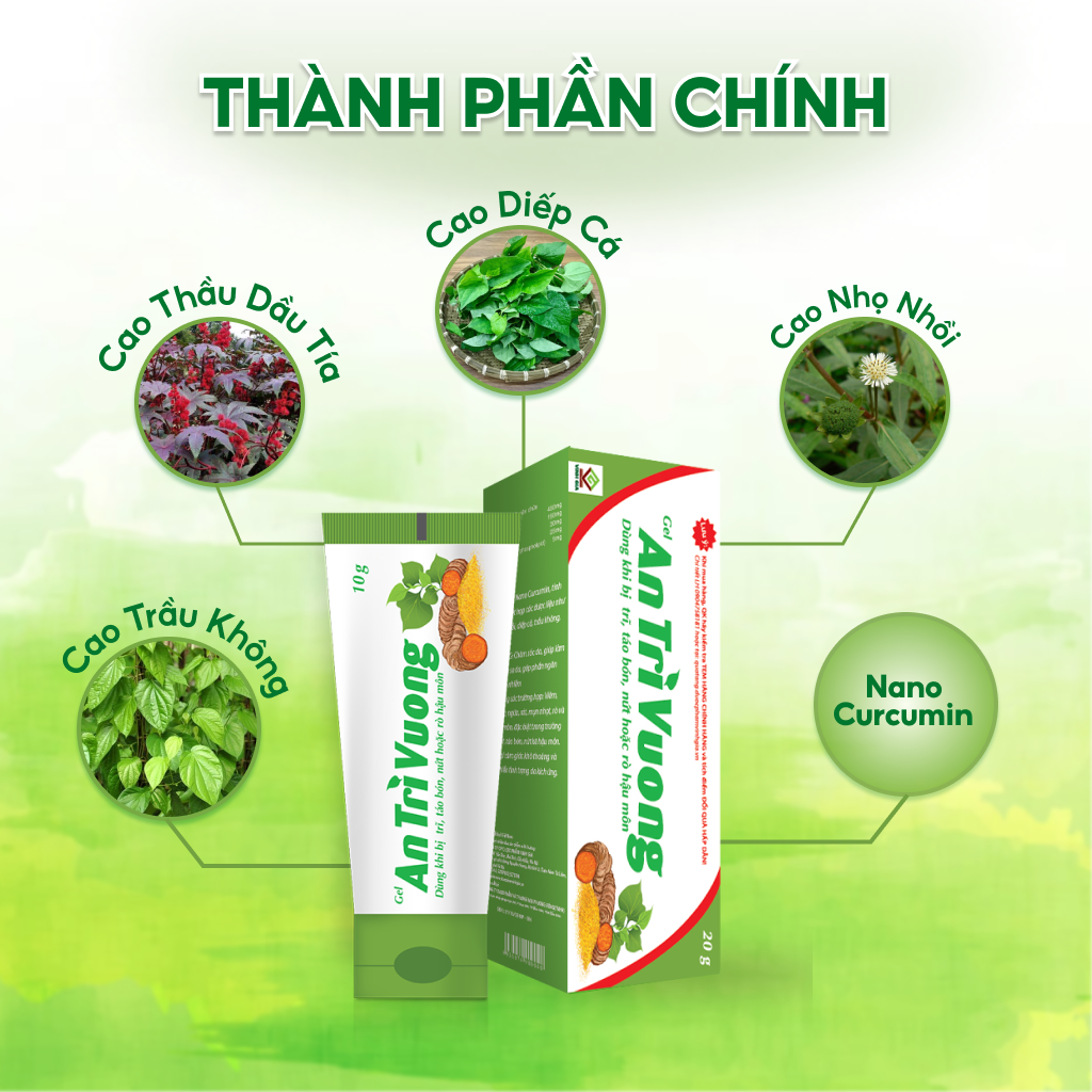 Gel An Trĩ Vương Vinh Gia Giúp Chăm Sóc Làm Mát, Dịu Da Dùng Khi Bị Trĩ, Táo Bón, Nứt Kẽ Hậu Môn Tuýp 20g