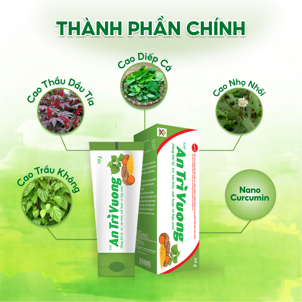 An Trĩ Vương Gel Cải Thiện Trĩ Nội, Trĩ Ngoại, Táo Bón, Nứt Kẽ Hậu Môn 20g/Tuýp