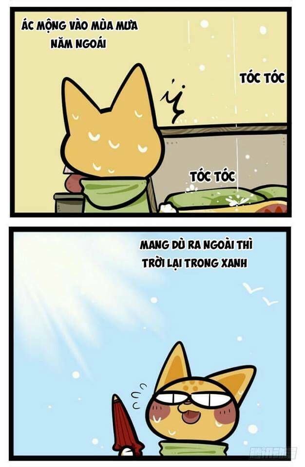 đời không như mình tưởng chapter 37 3