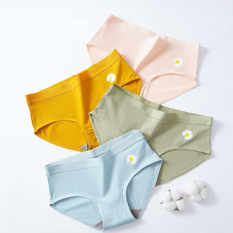 Quần lót cotton hoa cúc, quần lót nữ thấm hút mồ hôi mùa hè QC/092