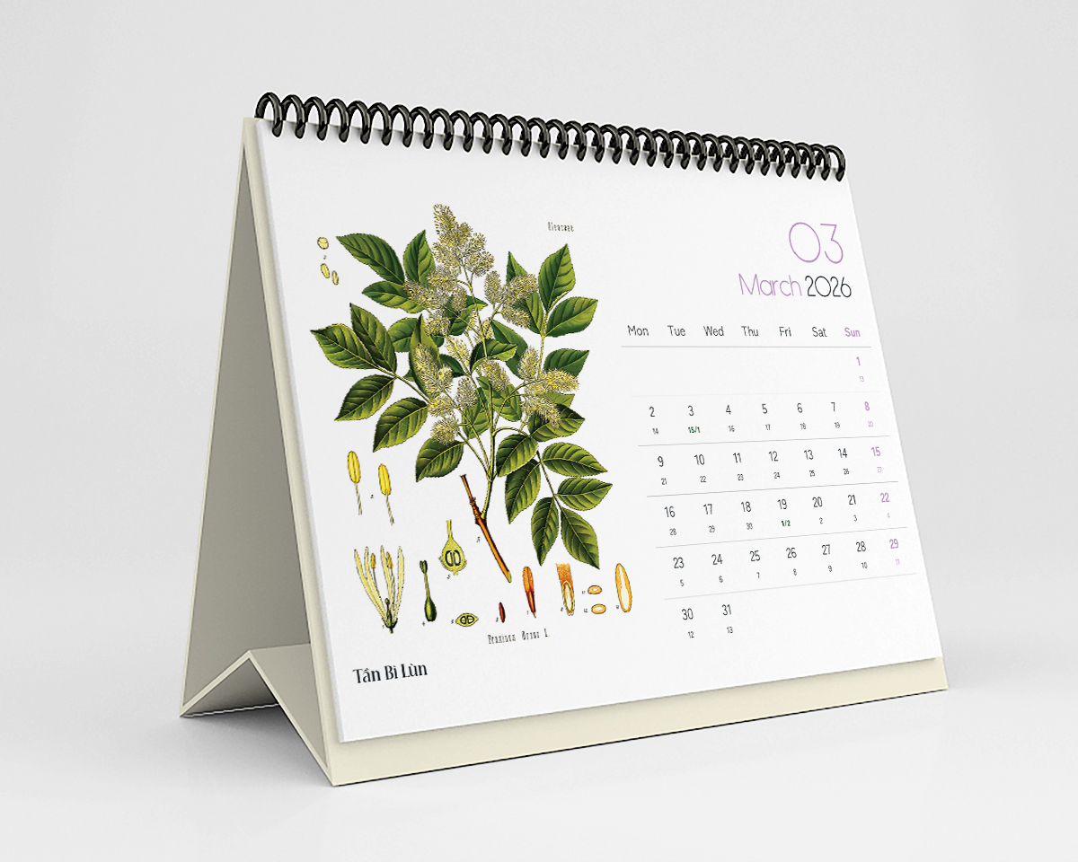 Lịch Bàn 2026 - Desk Calendar 2026 Nguyễn Trắc - Botanical & Herbs