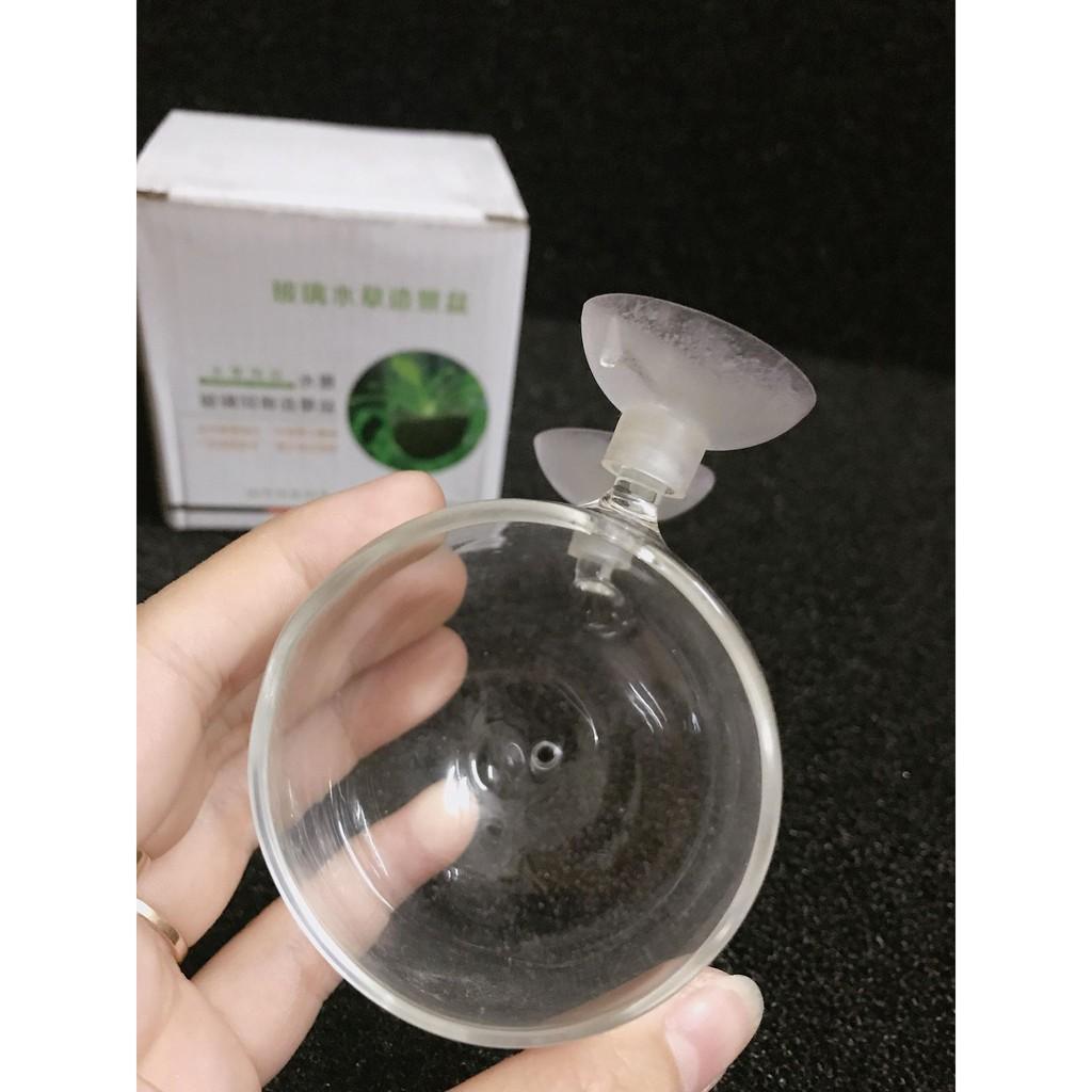 Cốc trồng cây thủy sinh