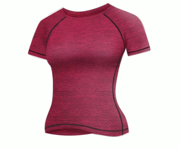 Bộ đồ tập gym, yoga, aerobic nữ Linda026 áo thun quần đùi, quần áo thể thao nữ