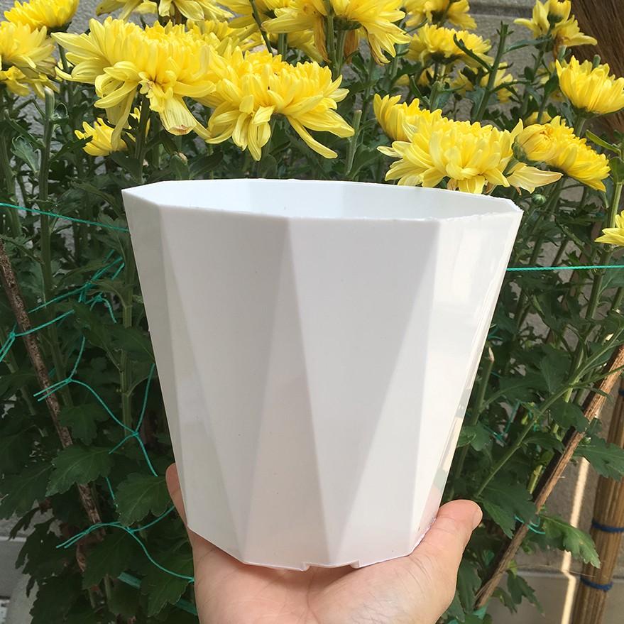 Bộ 10 chậu hoa mười cạnh màu trắng 15x13cm-Đồ Gia Dụng Tại HCM