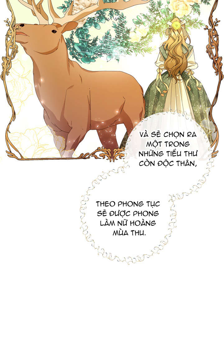 cách che giấu đứa con của hoàng đế chapter 8 13