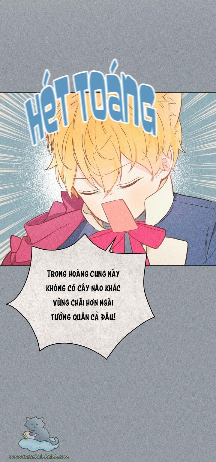 trang trại hạt dẻ cạnh hoàng cung chapter 16 30