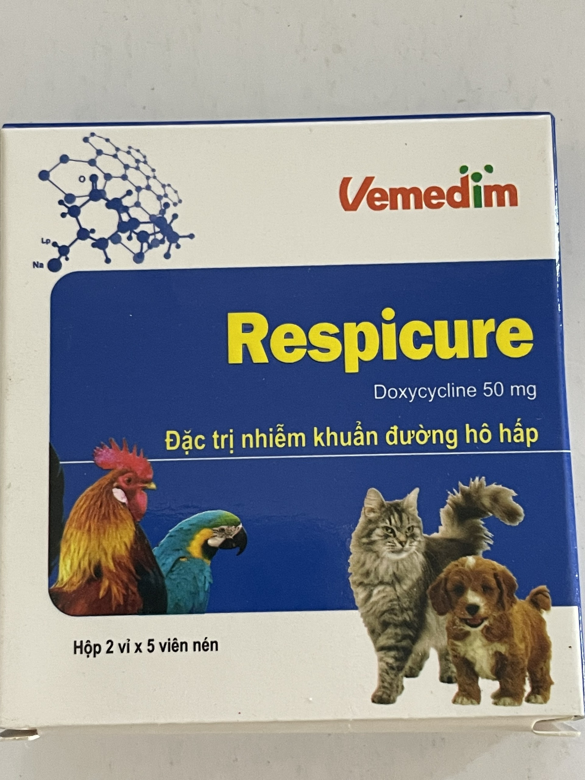 RESPICURE - HỖ TRỢ NHIỄM KHUẨN ĐƯỜNG HÔ HẤP