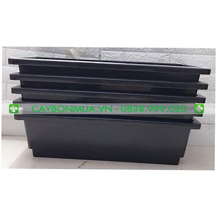 Chậu hình máng - Chậu máng nhựa treo ban công - Chậu mang nhựa trắng cao cấp có khung sắt siêu rẻ khi mua kèm