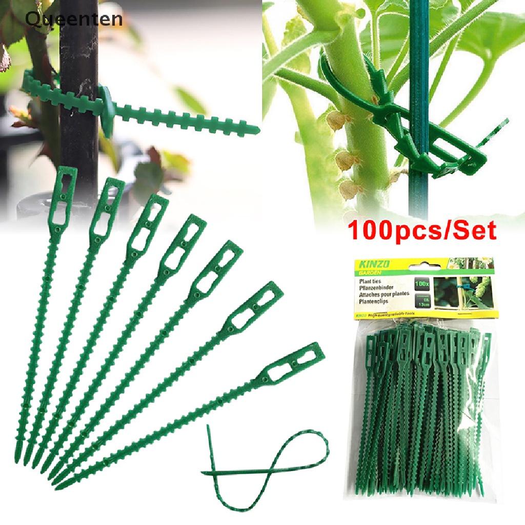 Queenten 50/100pcs Reusable Plastic Plant Support Clips clamps Plants Hanging Vine Garden  QT