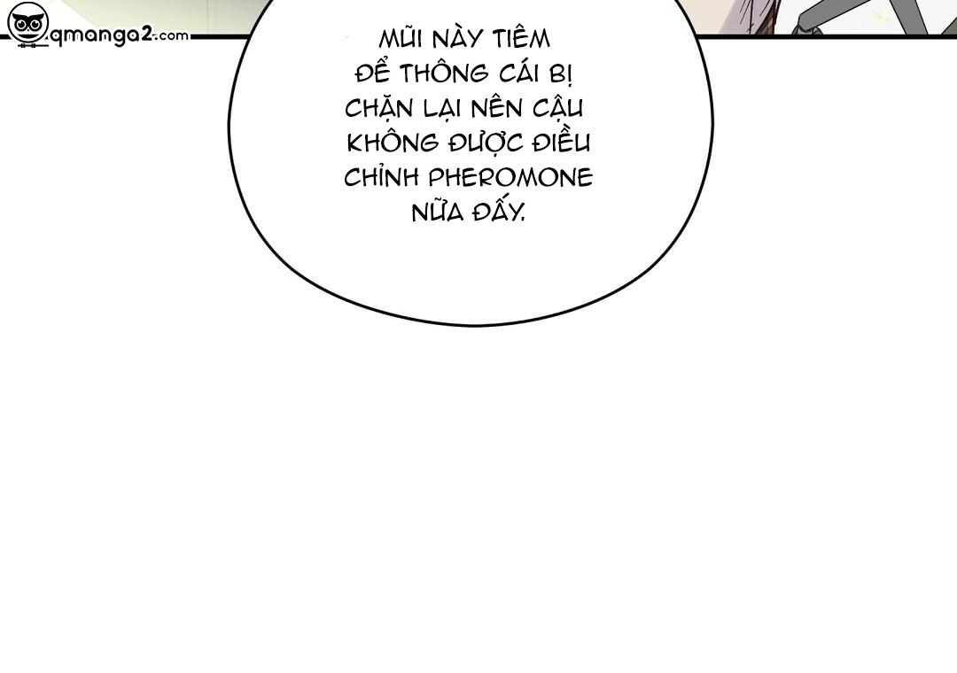 phức cảm tự ti của omega chapter 15 109