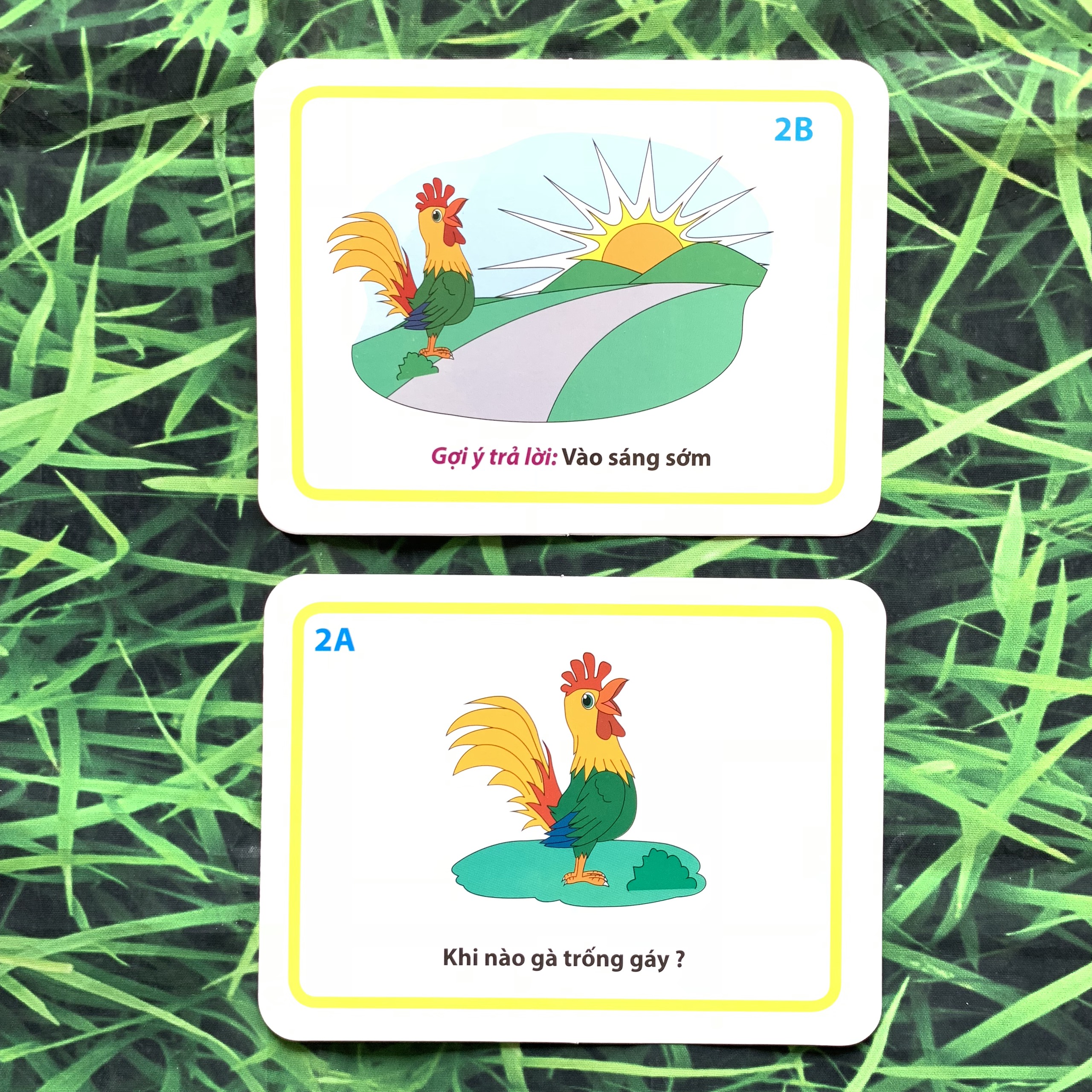 Thẻ Học Thông Minh Flashcards Giúp Trẻ Phát Triển Ngôn Ngữ Và Giao Tiếp BENRIKIDS