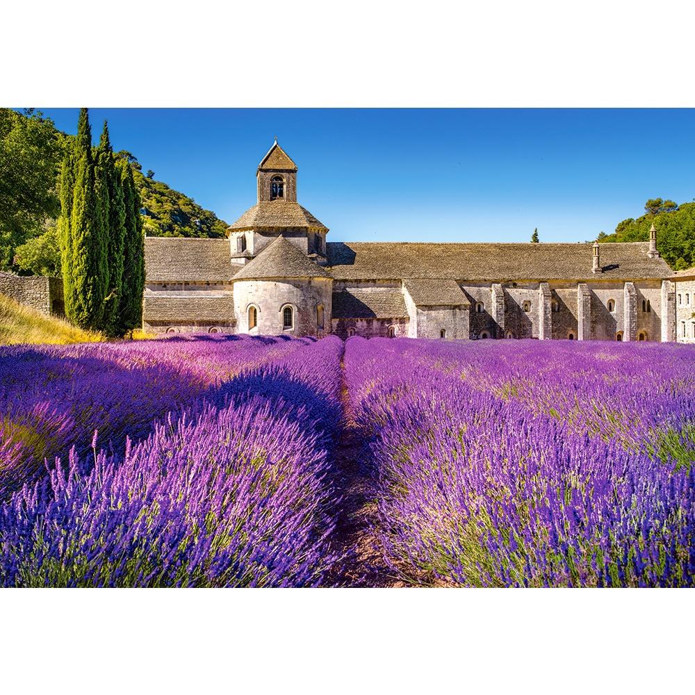 Xếp hình Lavender Field in Provence 1000 mảnh CASTORLAND C104284