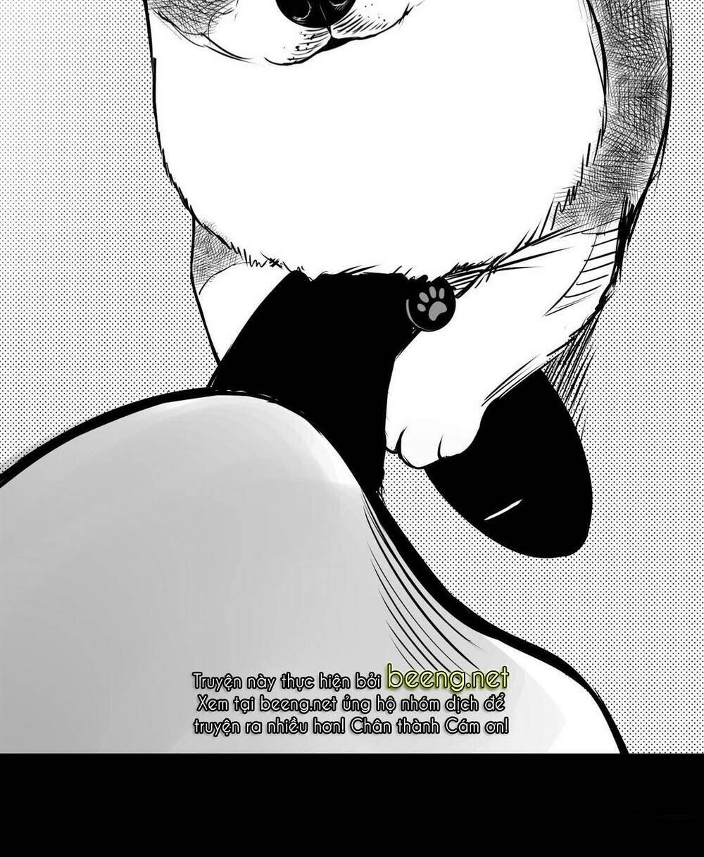 dạ hành khuyển chapter 6 70