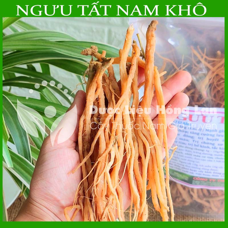 100g Ngưu Tất Nam sấy khô loại 1