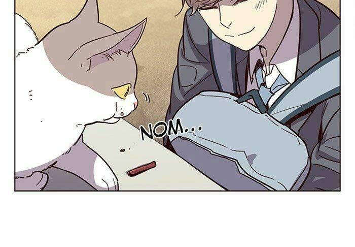 biến thân thành mèo chapter 11 56