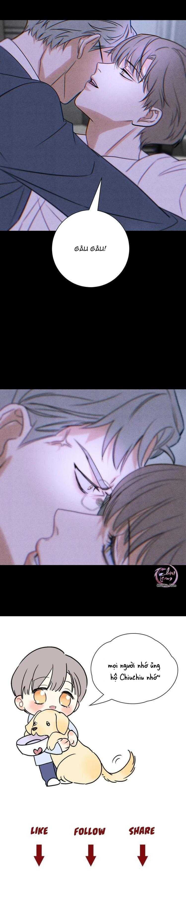 anh trai rẻ tiền của tôi chapter 56 18