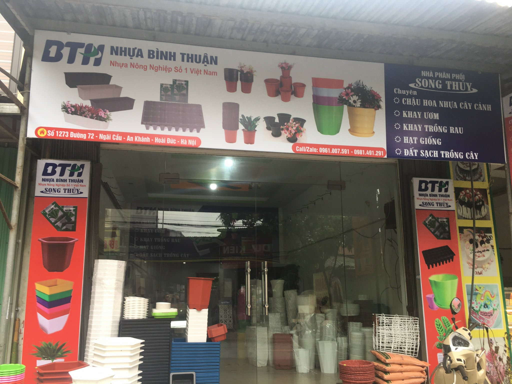Chậu nhựa trồng cây Trúc giả sứ, trồng hoa hồng, hoa kiểng