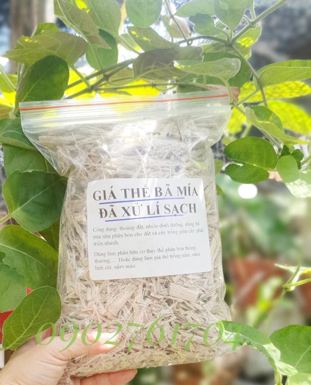 250gr bã mía đã được làm sạch siêu tốt trồng cây thân thiện môi trường