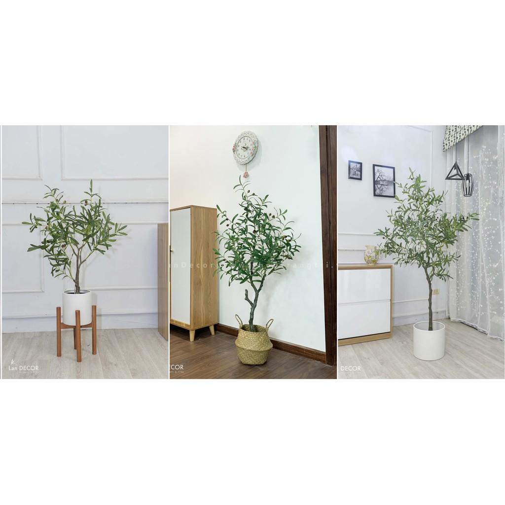 Cây Oliu giả trang trí cao cấp Lan Decor - (Các size 85cm, 130cm, 165cm)