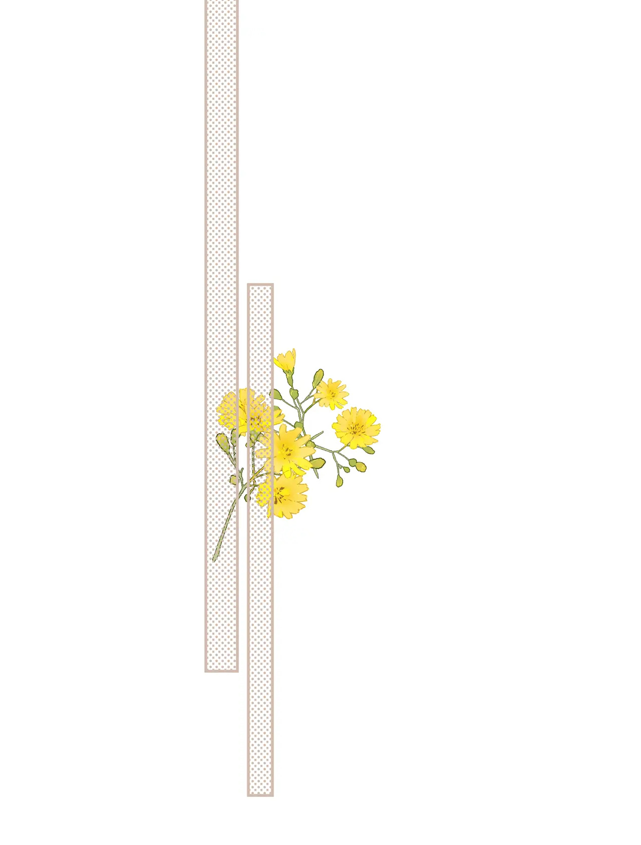 vụng trộm không thể giấu - mối tình thầm kín chapter 90.1 13