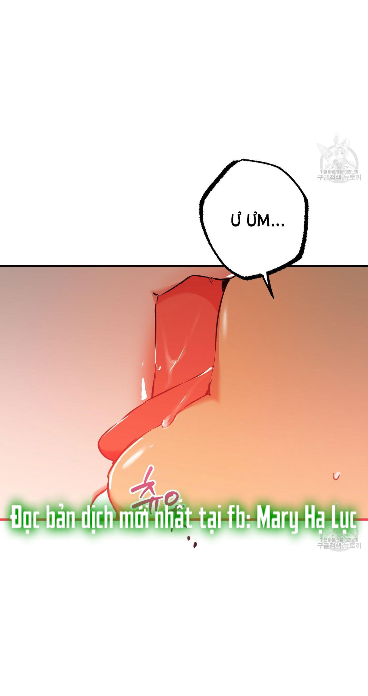 những chú thỏ của hapypy chapter 54.1 5