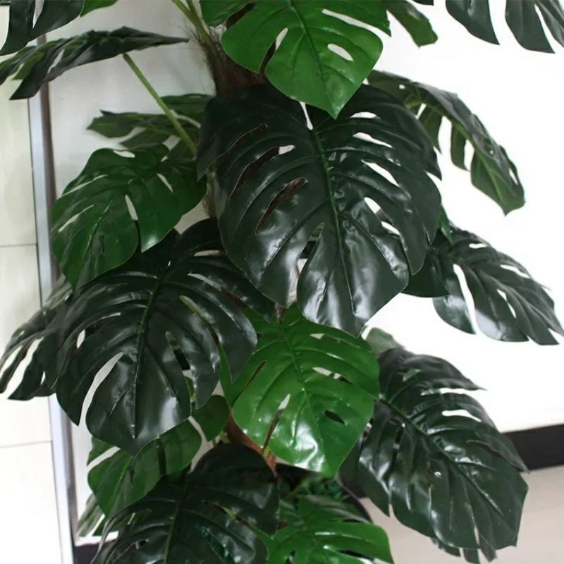 Cây trầu bà lá xẻ - Size 160cm - kèm chậu và sỏi trắng - Cây giả, hoa lụa trang trí nhà cửa