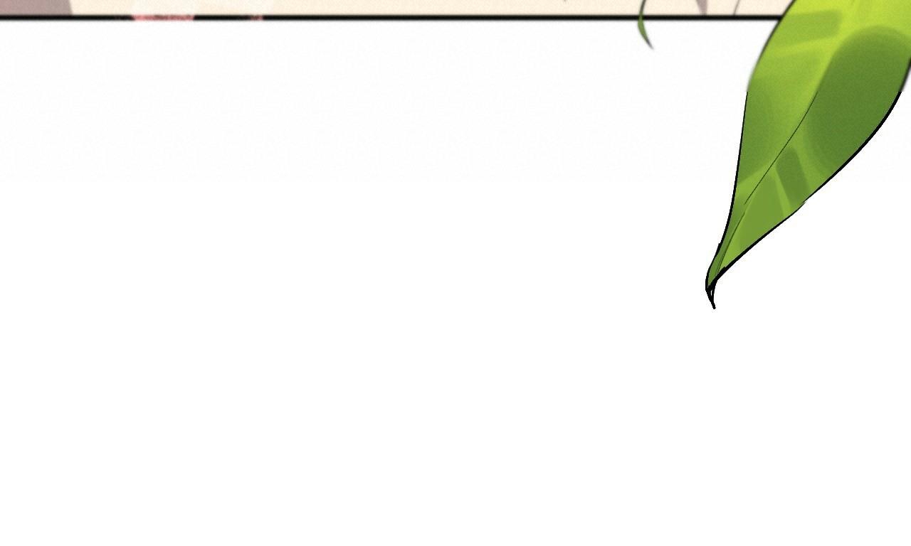 đàn thỏ của habibi chapter 44 255