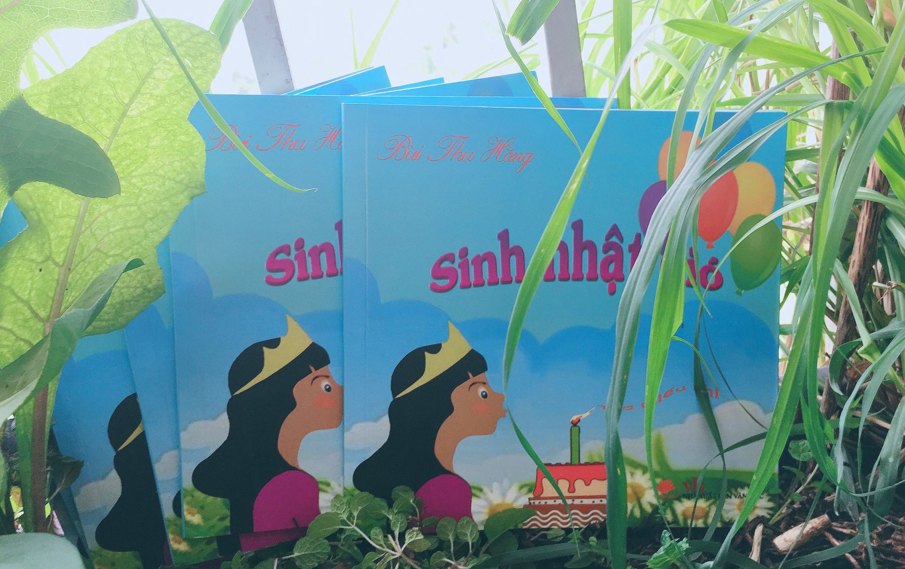 Sinh nhật gió