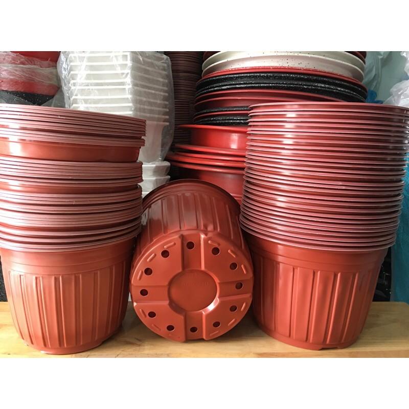 Combo 5-10 Chậu nhựa mỏng trồng cây - ươm cây